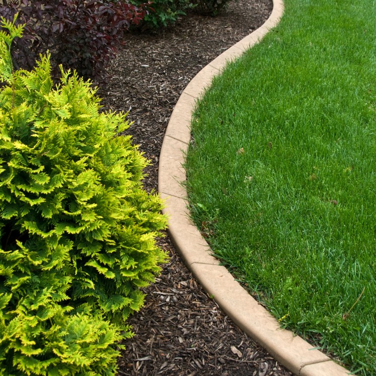 Lawn Care and Landscaping in Anoka, MN Lawn Care and Landscaping in Anoka, MN