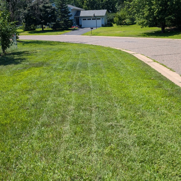 Lawn Care and Landscaping in Anoka, MN