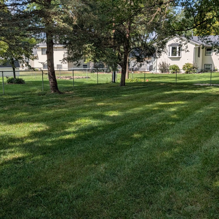 Lawn Care and Landscaping in Anoka, MN