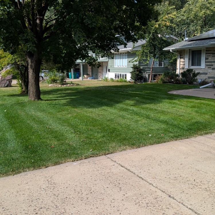 Lawn Care and Landscaping in Anoka, MN