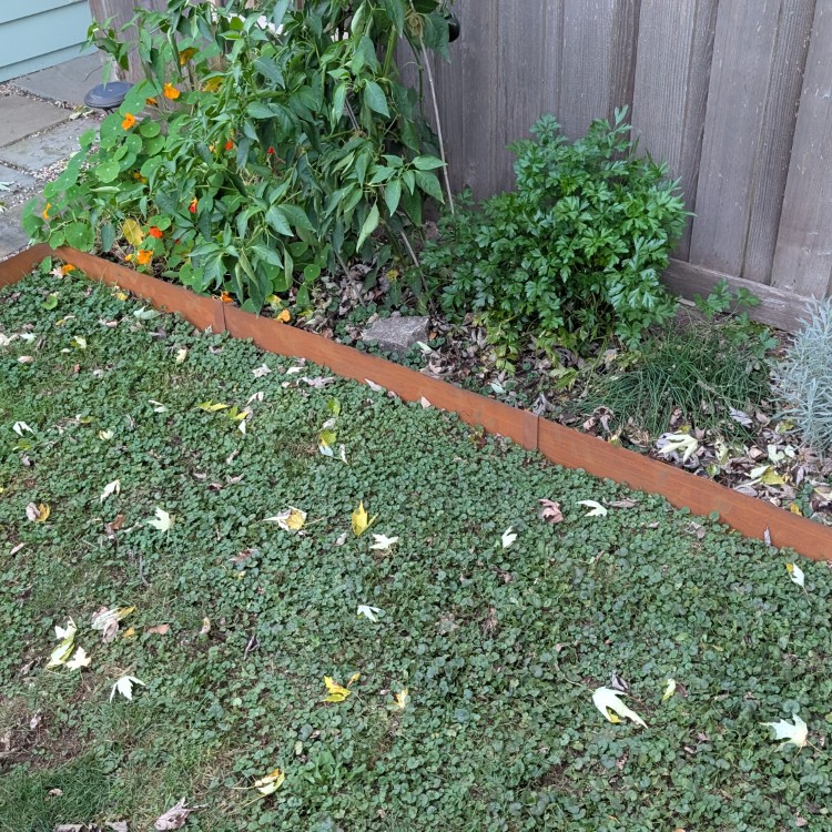 Lawn Care and Landscaping in Anoka, MN