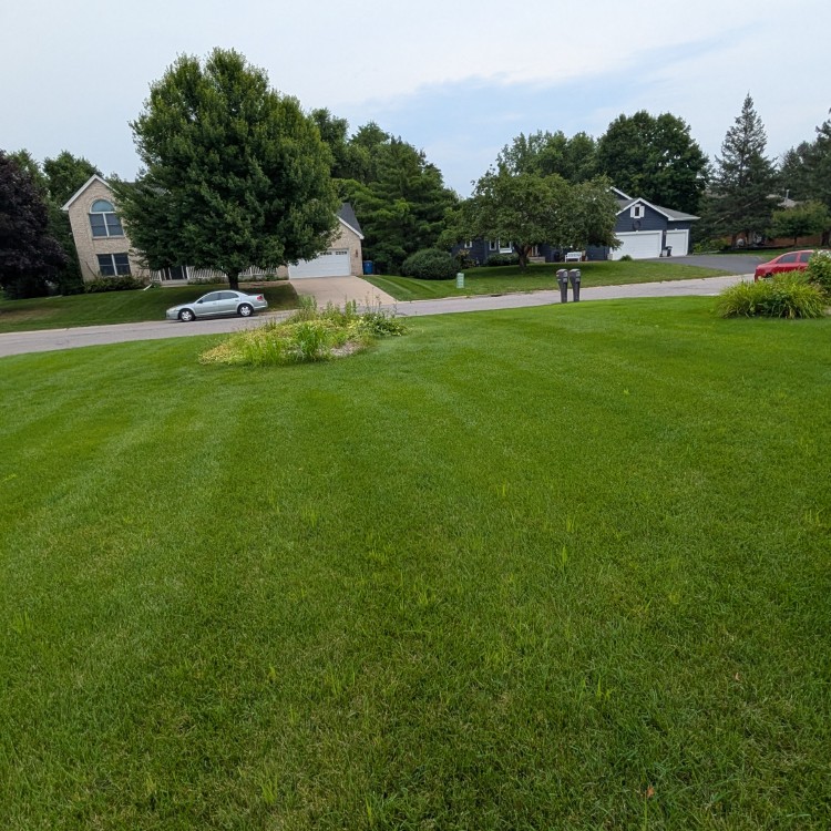 Lawn Care and Landscaping in Anoka, MN