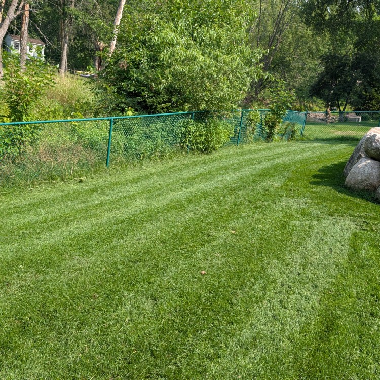 Lawn Care and Landscaping in Anoka, MN