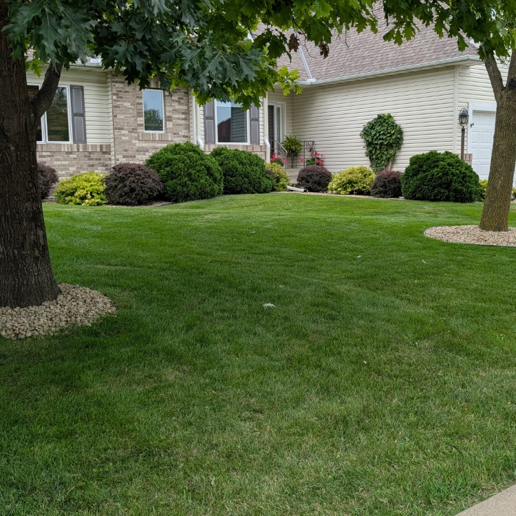 Lawn Care and Landscaping in Anoka, MN