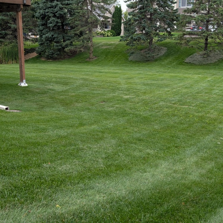Lawn Care and Landscaping in Anoka, MN