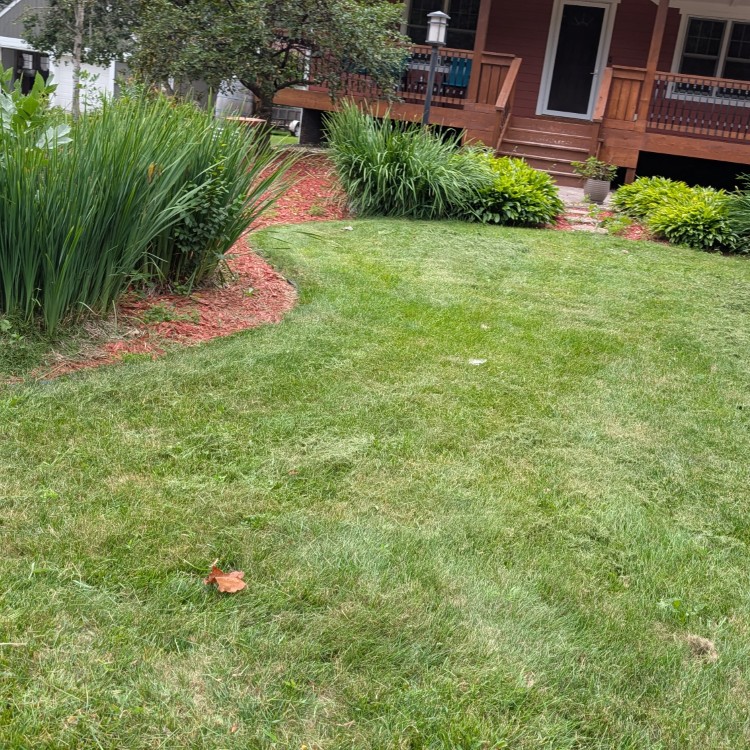 Lawn Care and Landscaping in Anoka, MN Lawn Care and Landscaping in Anoka, MN
