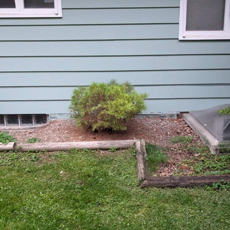 Lawn Care and Landscaping in Anoka, MN